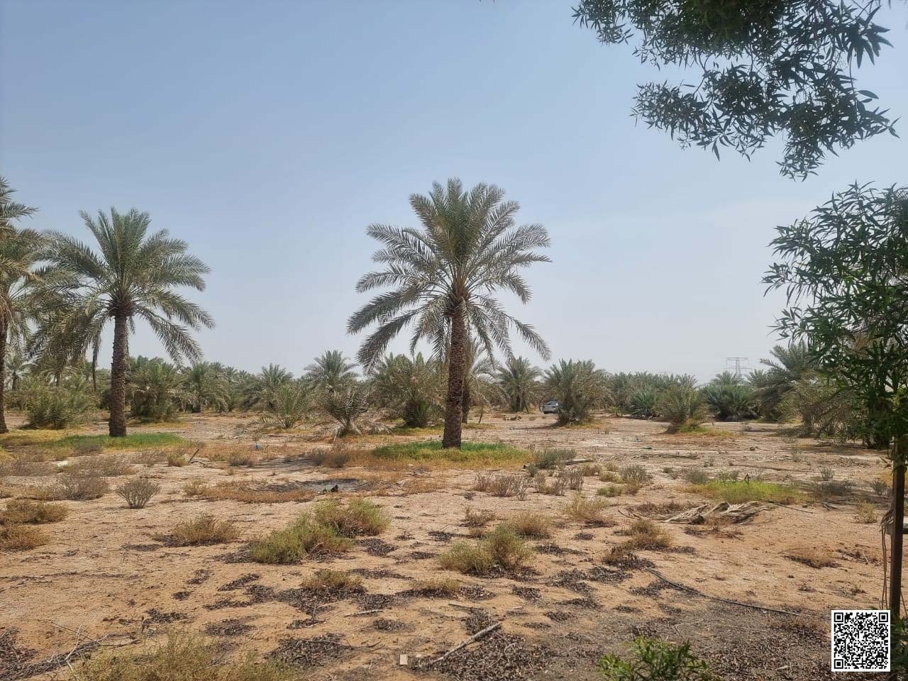 126454-147193-1280158683283651