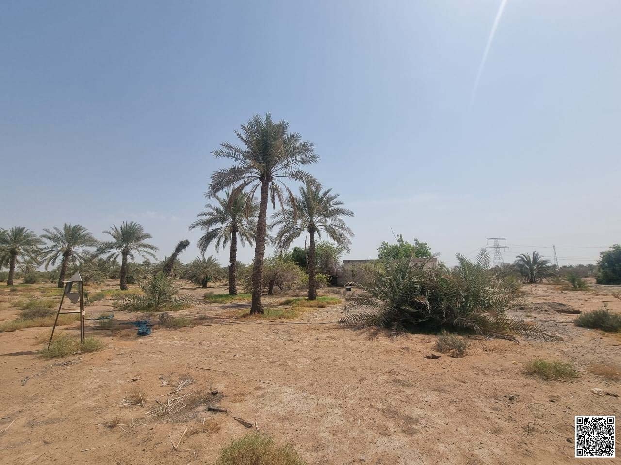 126454-147193-1503173500695938